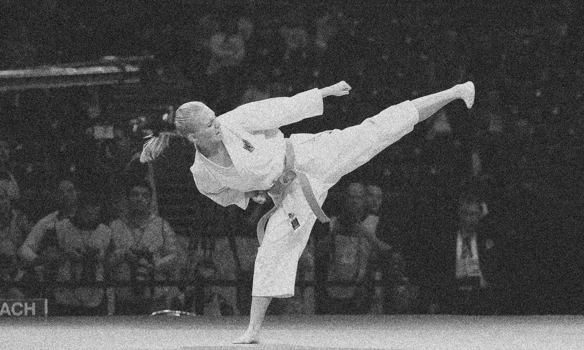 Announcing KarateCast