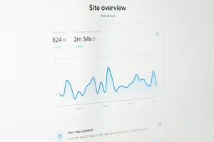 How to Audit Your Own Website